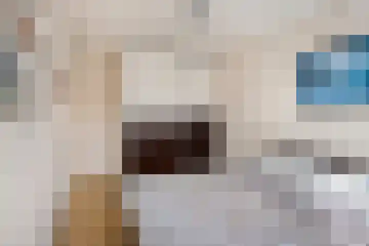 Floralaan 21 Veenendaal thumbnail 15