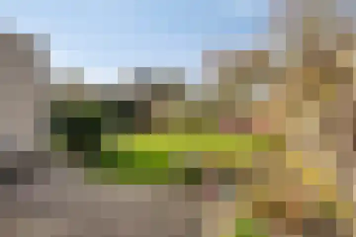 Floralaan 21 Veenendaal thumbnail 23