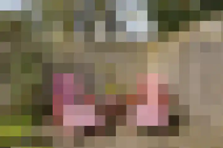 Floralaan 21 Veenendaal thumbnail 24