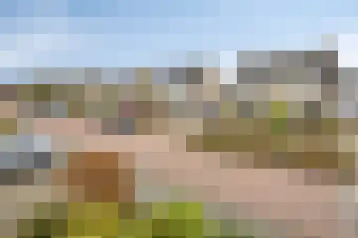 Floralaan 22 Veenendaal thumbnail 15