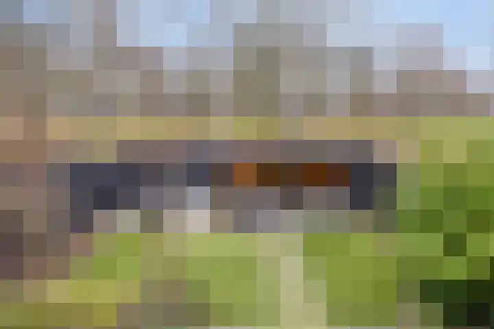 Floralaan 22 Veenendaal thumbnail 23