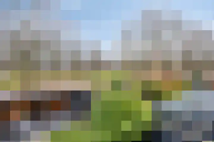 Floralaan 22 Veenendaal thumbnail 24