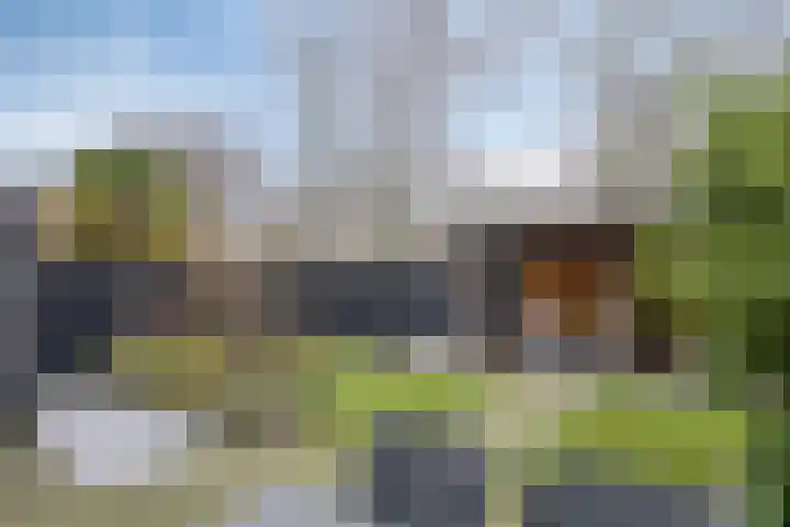 Floralaan 22 Veenendaal thumbnail 27