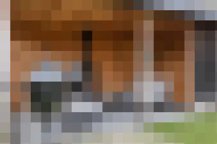 Floralaan 22 Veenendaal thumbnail 28