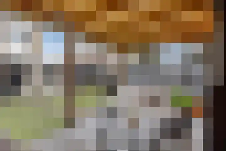 Floralaan 22 Veenendaal thumbnail 30