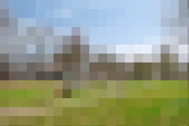 Floralaan 22 Veenendaal thumbnail 36