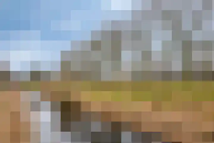 Floralaan 22 Veenendaal thumbnail 38