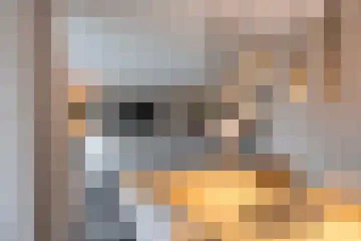 Floralaan 22 Veenendaal thumbnail 5