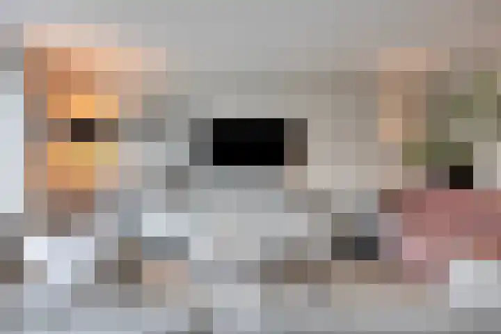 Floralaan 22 Veenendaal thumbnail 6