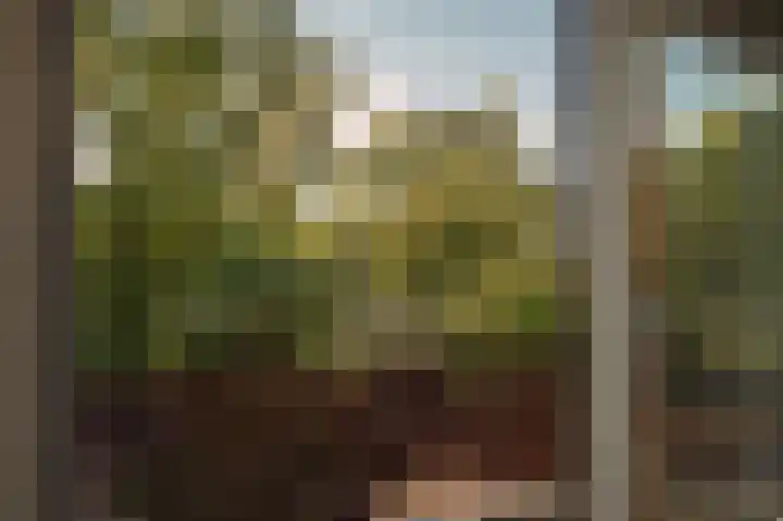 Floralaan 24 Veenendaal thumbnail 33