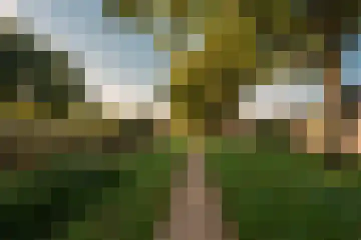 Floralaan 24 Veenendaal thumbnail 64