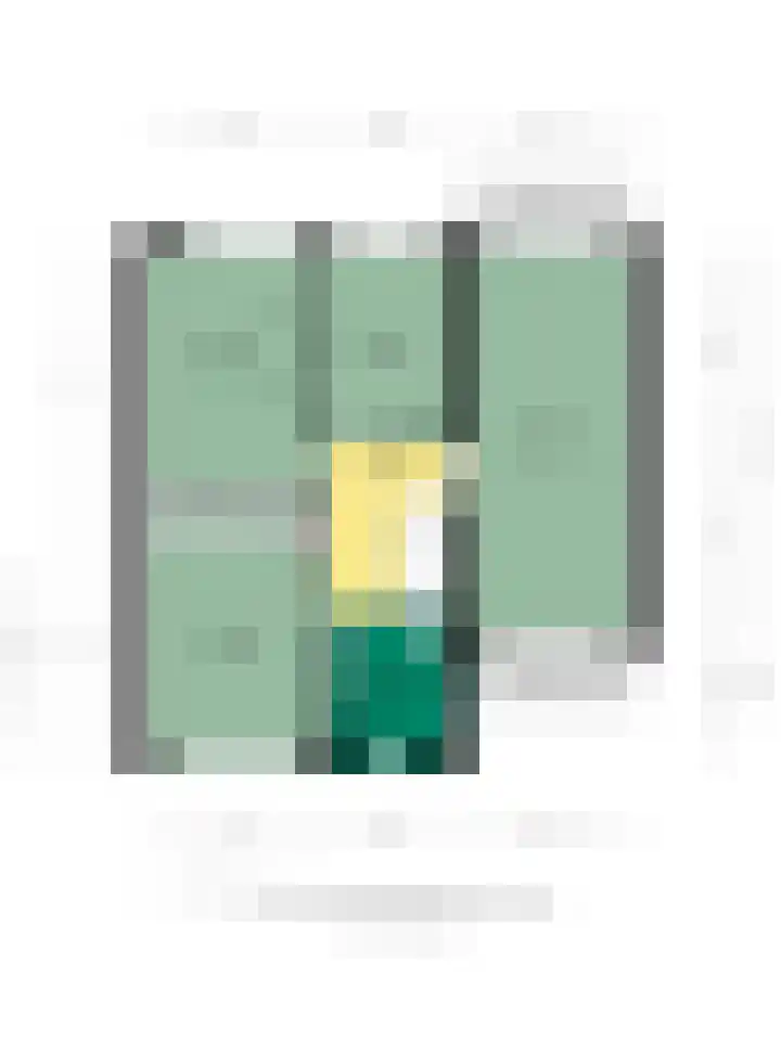 Floralaan 24 Veenendaal thumbnail 69