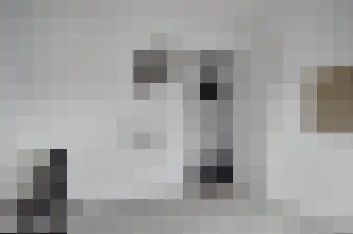 Floralaan 25 Wervershoof thumbnail 19