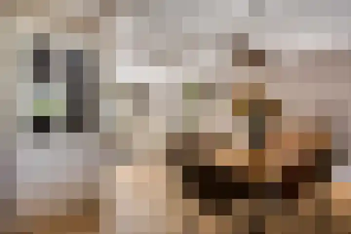 Floralaan 27 Asten thumbnail 11