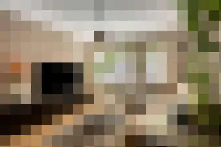 Floralaan 27 Asten thumbnail 13