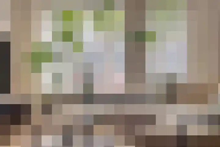 Floralaan 27 Asten thumbnail 14