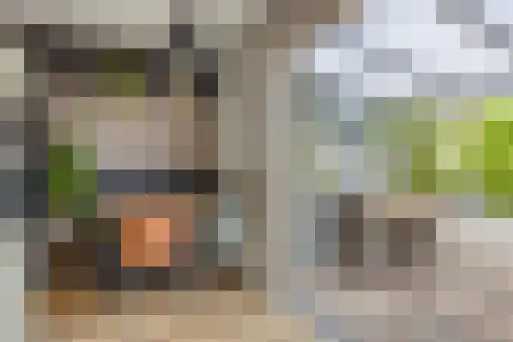 Floralaan 27 Asten thumbnail 24