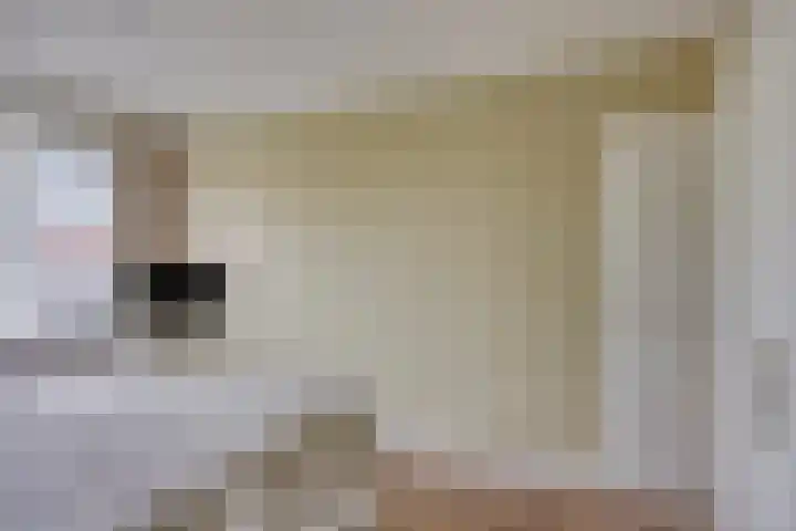 Floralaan 27 Asten thumbnail 27