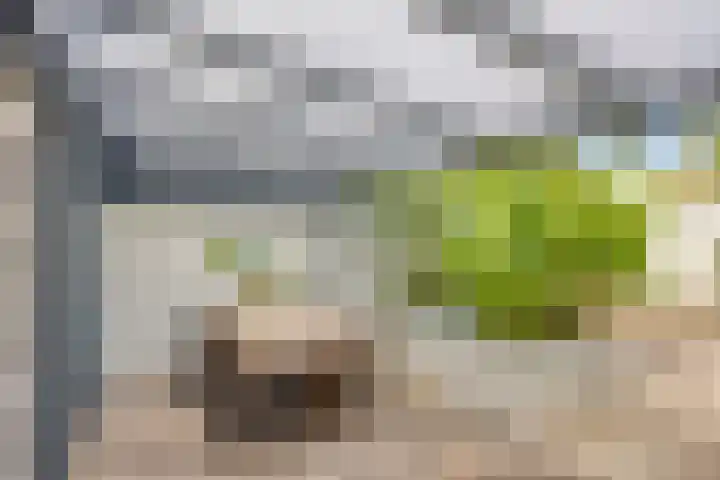 Floralaan 27 Asten thumbnail 38
