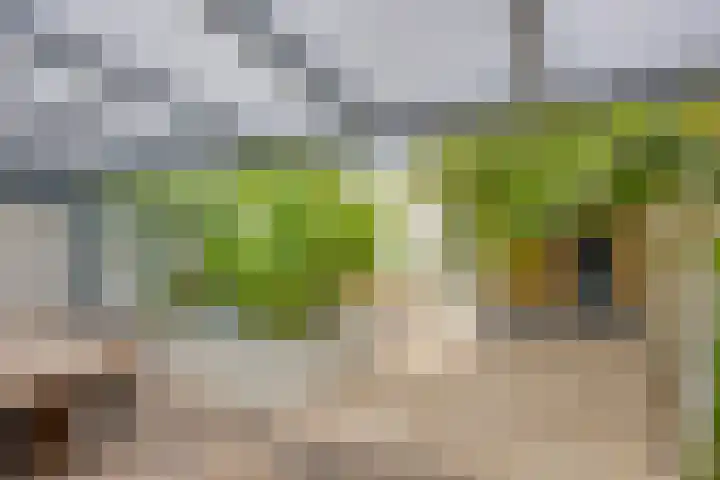 Floralaan 27 Asten thumbnail 39