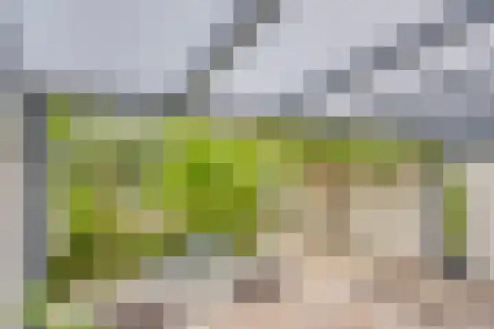 Floralaan 27 Asten thumbnail 40