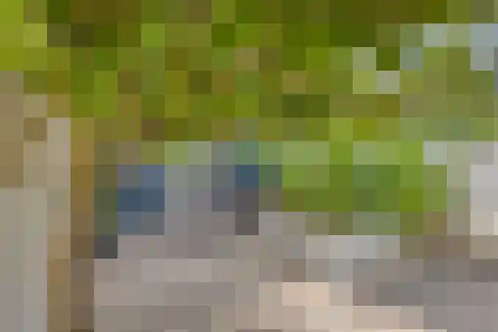 Floralaan 27 Asten thumbnail 41
