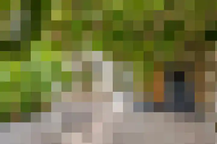 Floralaan 27 Asten thumbnail 42