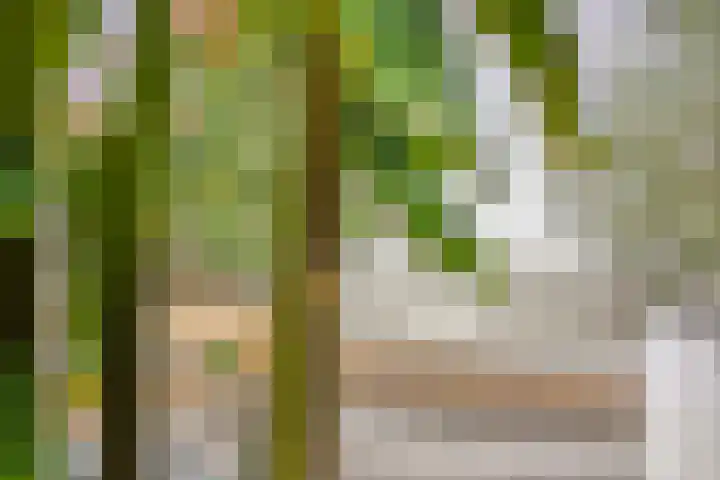 Floralaan 27 Asten thumbnail 43