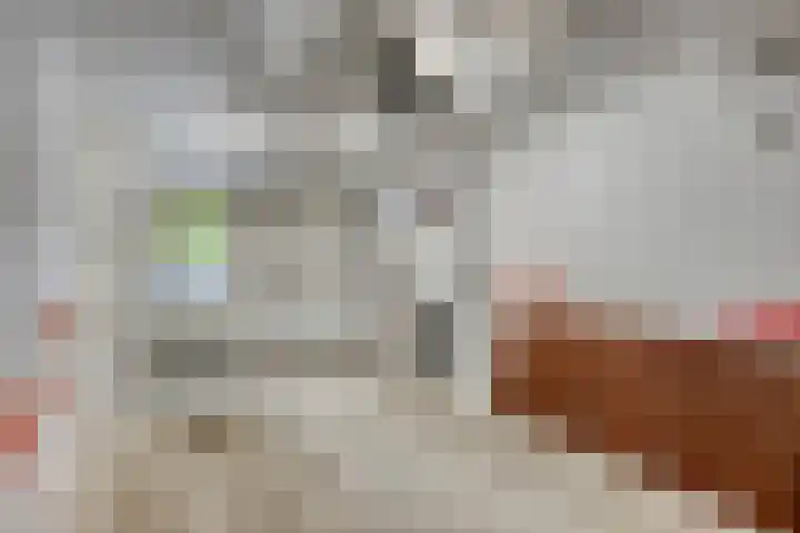 Floralaan 27 Asten thumbnail 48