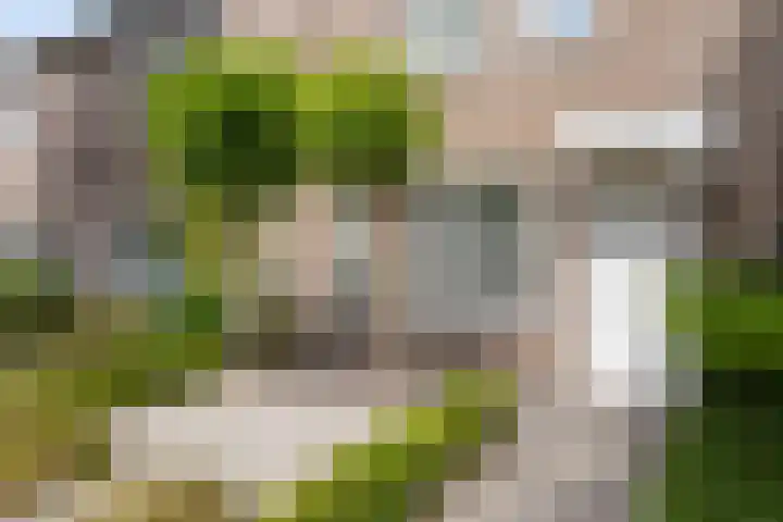 Floralaan 27 Asten thumbnail 9