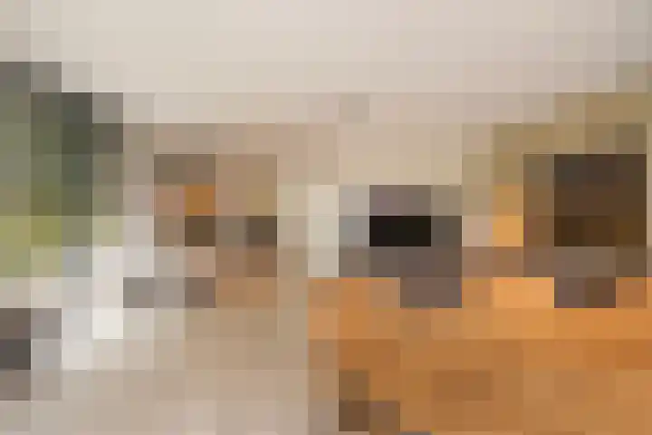 Floralaan 3 Elst thumbnail 11