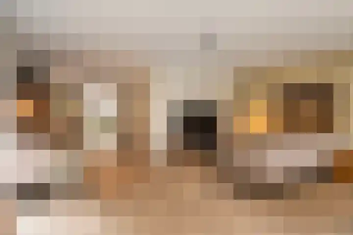Floralaan 3 Elst thumbnail 12