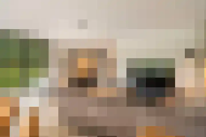 Floralaan 3 Elst thumbnail 15