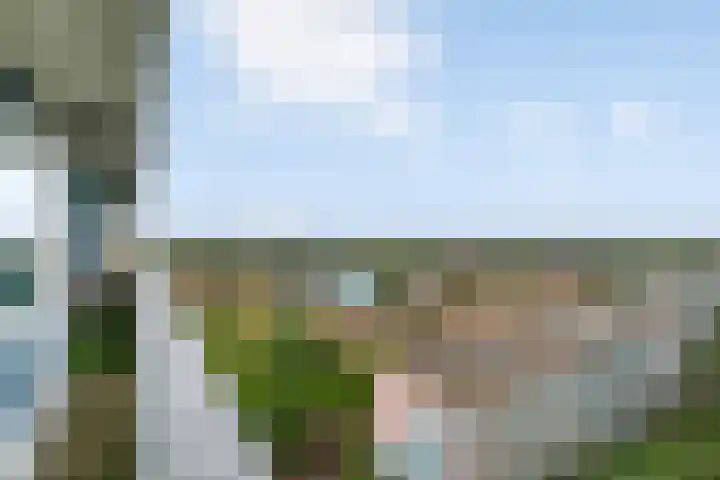 Floralaan 3 Elst thumbnail 17
