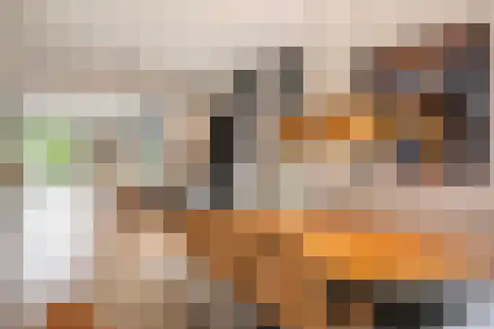 Floralaan 3 Elst thumbnail 18