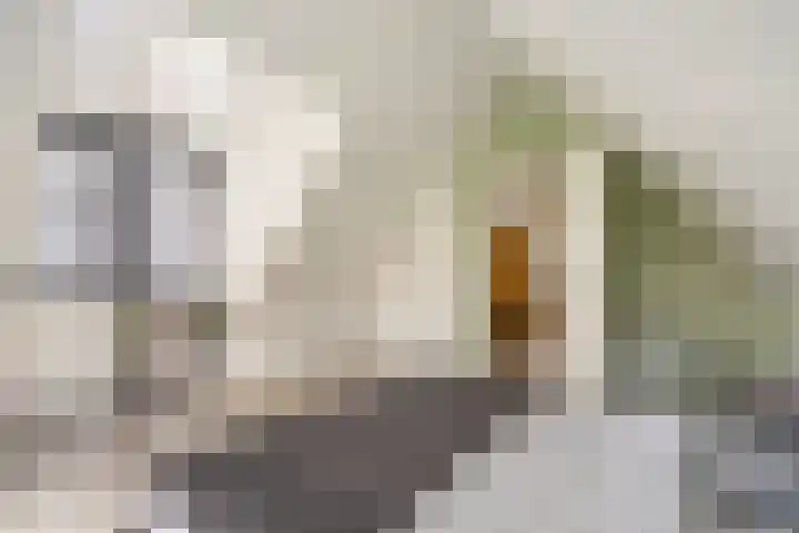 Floralaan 3 Elst thumbnail 31