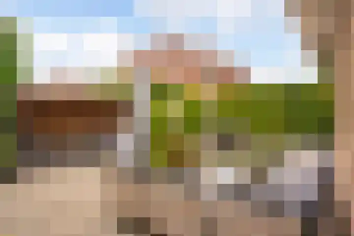Floralaan 3 Elst thumbnail 33