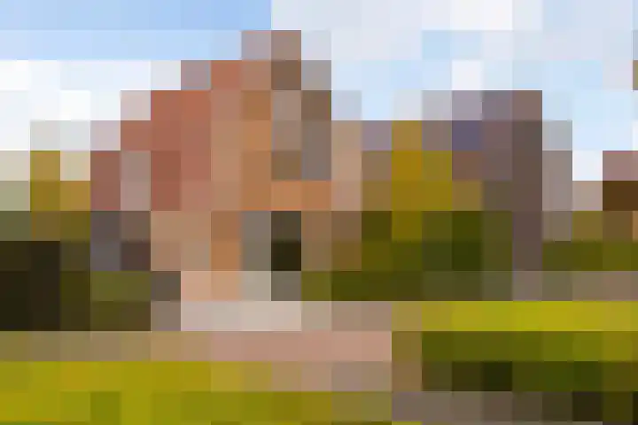 Floralaan 3 Elst thumbnail 4
