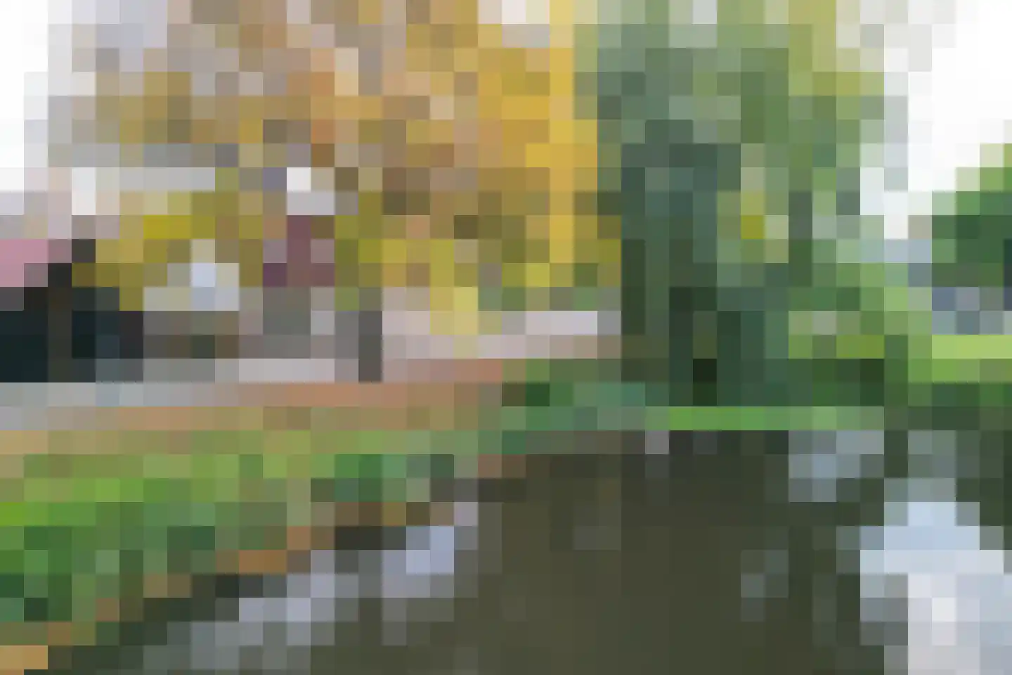 Floralaan 33 Hardenberg thumbnail 28