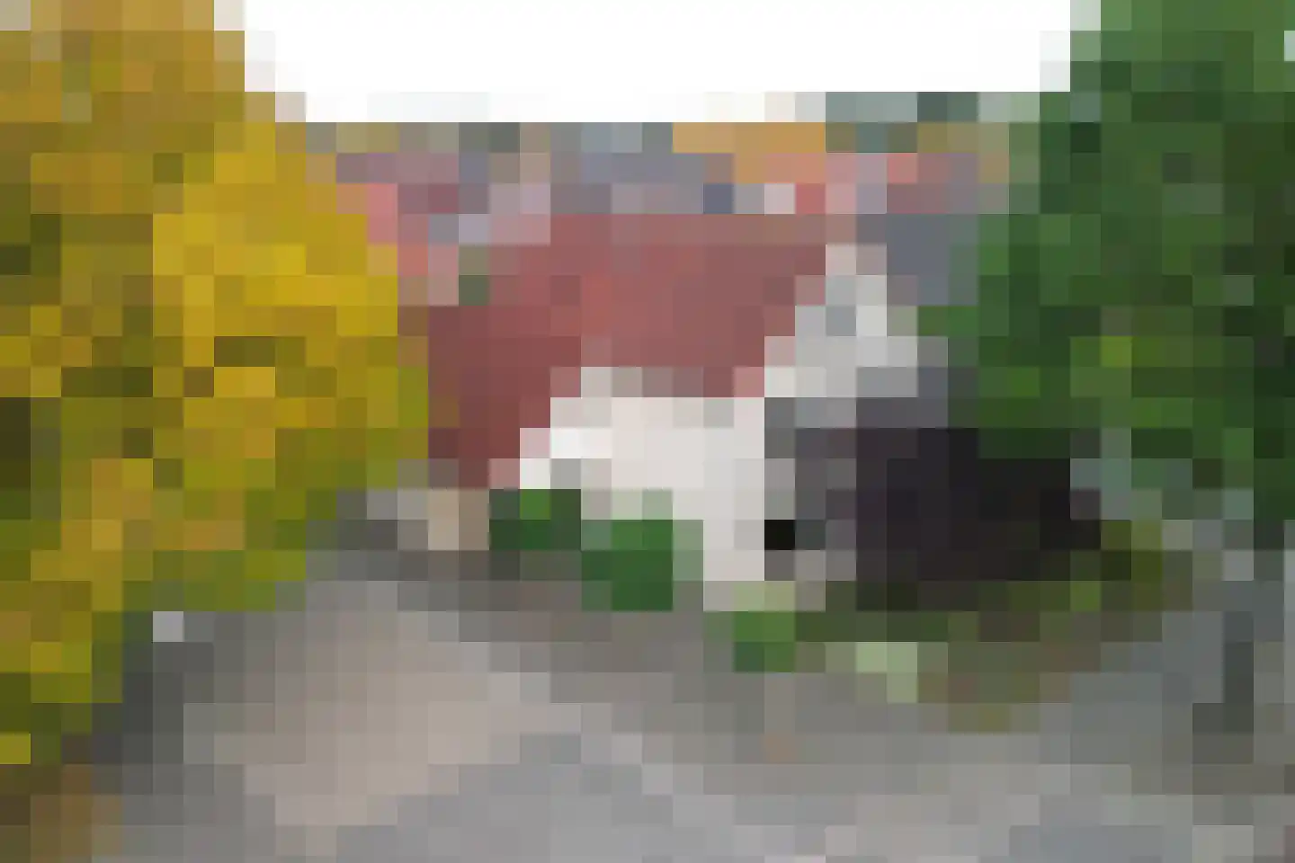 Floralaan 33 Hardenberg thumbnail 46