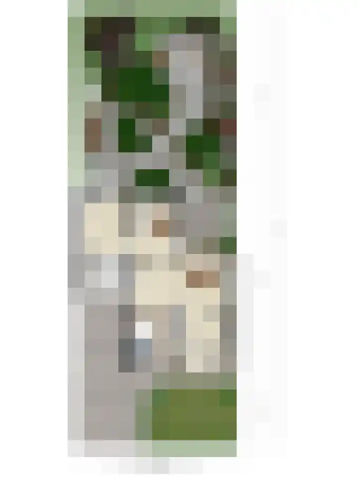 Floralaan 35 Boxmeer thumbnail 37
