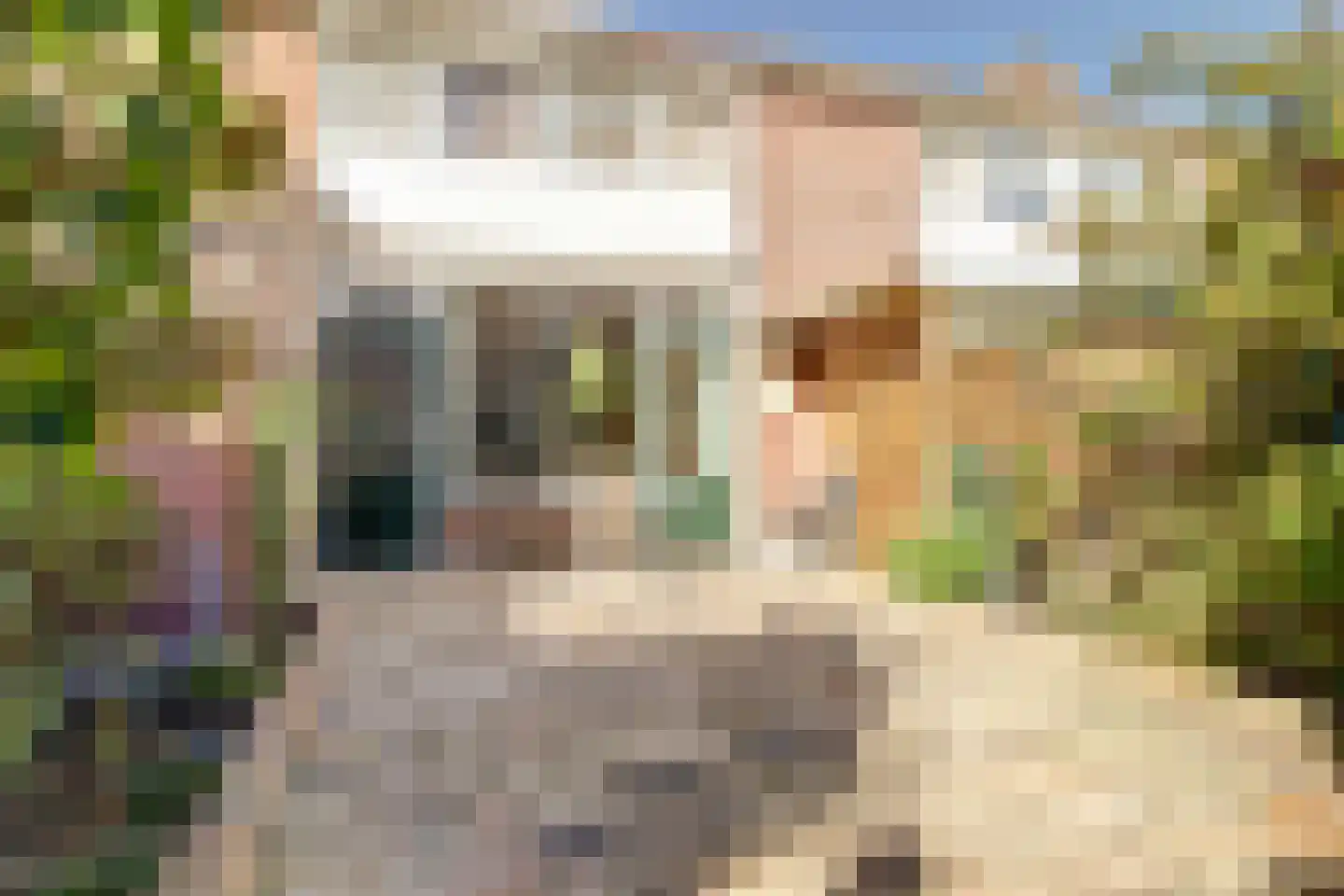 Floralaan 35 Wervershoof thumbnail 18