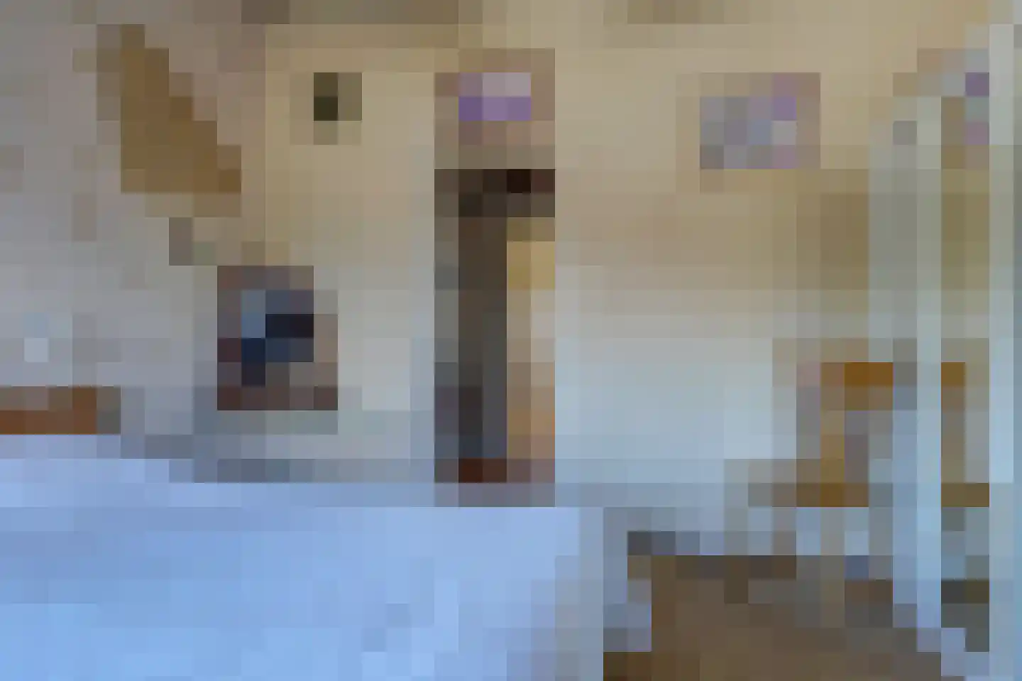 Floralaan 35 Wervershoof thumbnail 21