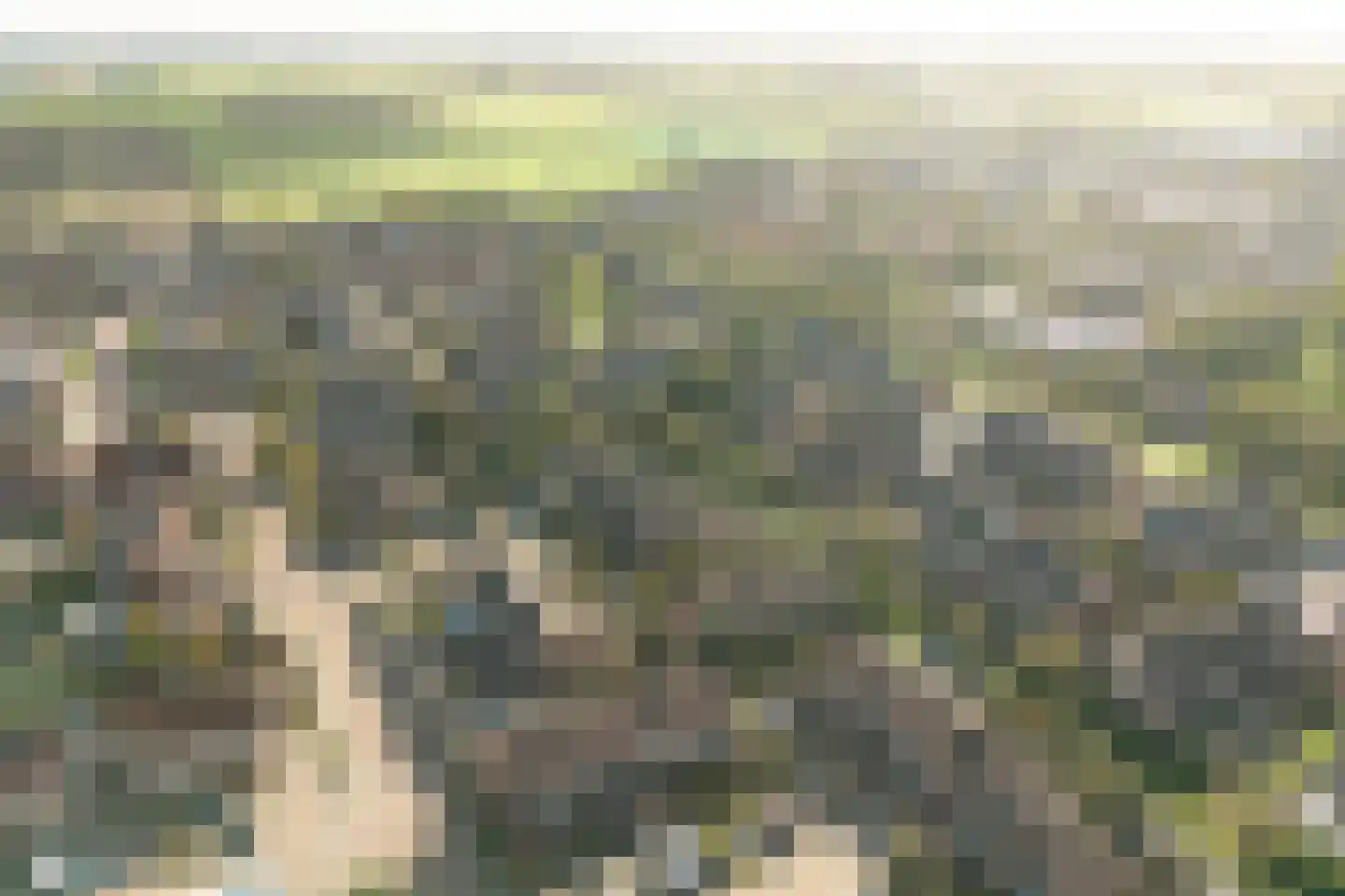 Floralaan 35 Wervershoof thumbnail 40