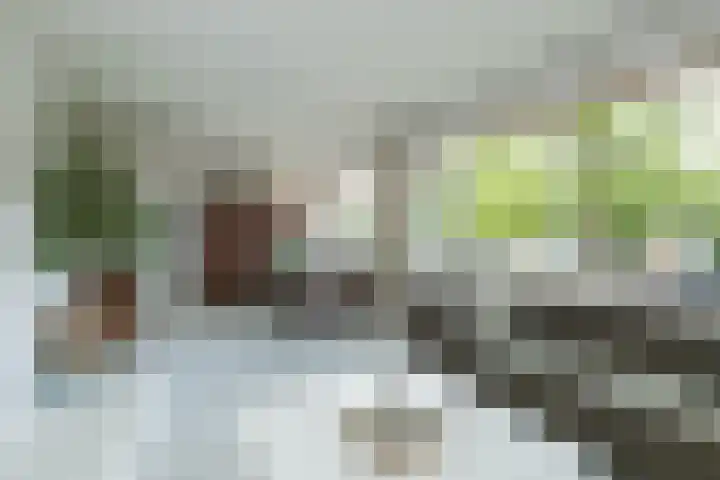 Floralaan 47 Oegstgeest thumbnail 10