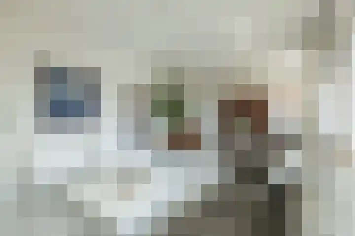 Floralaan 47 Oegstgeest thumbnail 11