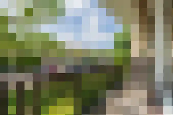 Floralaan 47 Oegstgeest thumbnail 12