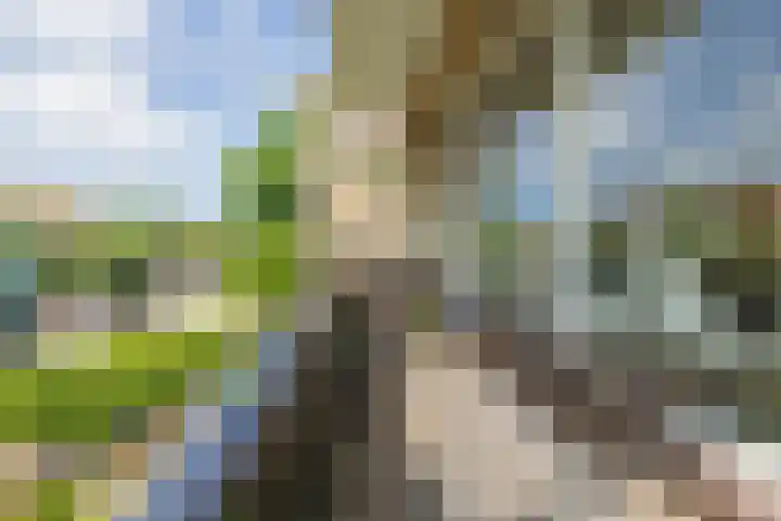 Floralaan 47 Oegstgeest thumbnail 13