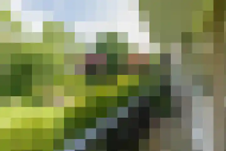 Floralaan 47 Oegstgeest thumbnail 17