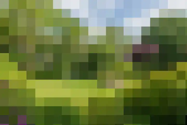 Floralaan 47 Oegstgeest thumbnail 18